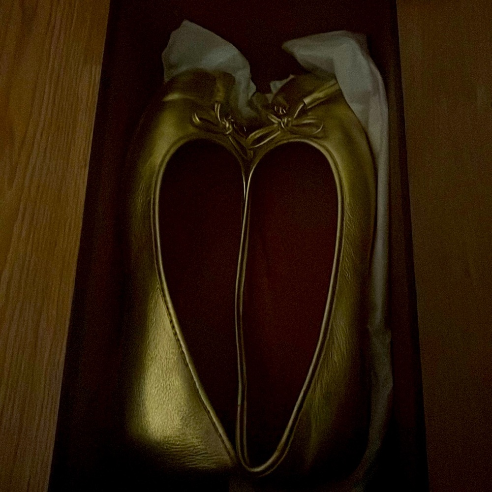 Brand new coach flats size 7 women’s